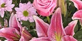 Teleflorist cashback